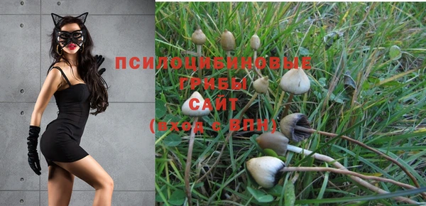 экстази Майский