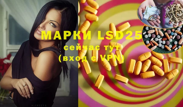 spice Медвежьегорск