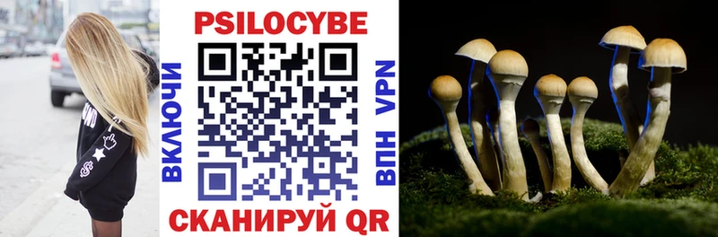 Купить где  Кириши  Псилоцибиновые грибы мухоморы 